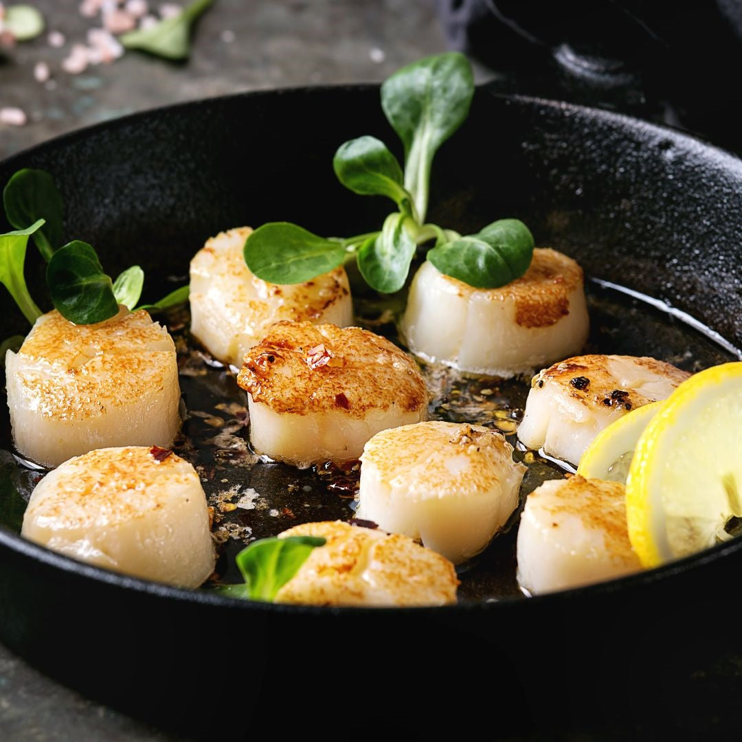 Scallops