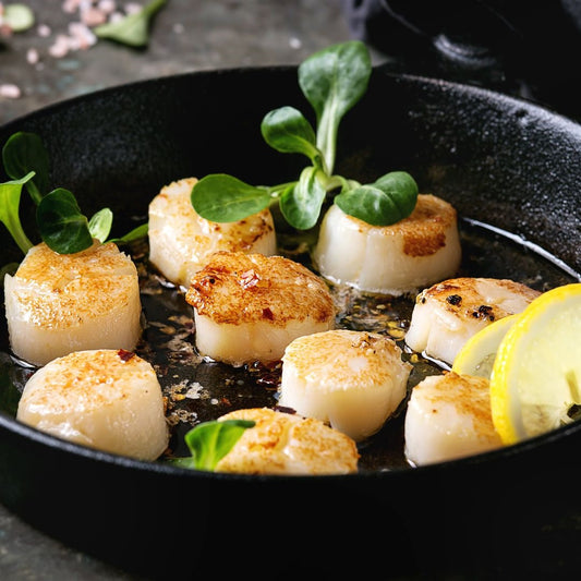 Scallops