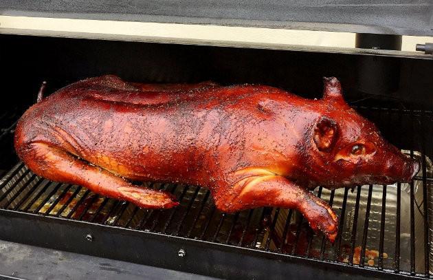 Berryman meat DIY Catering 50 lb Suckling Pig